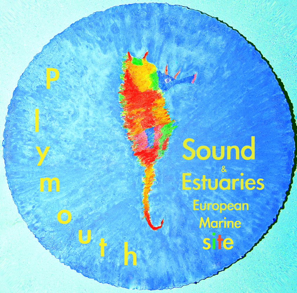 Sound and Estuaries